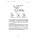 วิศวกรรมแอนติบอดี (antibody engineering) การประยุกต์ทางเทคโนโลยีชีวการแพทย์ วิศวกรรมแอนติบอดี (antibody engineering) การประยุกต์ทางเทคโนโลยีชีวการแพทย์