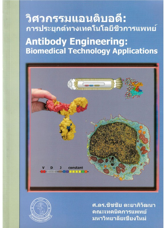 วิศวกรรมแอนติบอดี (antibody engineering) การประยุกต์ทางเทคโนโลยีชีวการแพทย์ วิศวกรรมแอนติบอดี (antibody engineering) การประยุกต์ทางเทคโนโลยีชีวการแพทย์